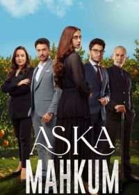 Заключенный любви