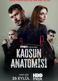 Анатомия хаоса